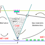 Công nghệ Bio-USBF (Upflow Sludge Blanket Filtration)